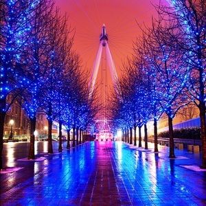 Meet your Posher, Malou